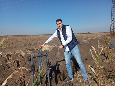 Dragana Padejski, uzgoj kukuruza