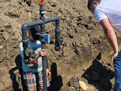 Dragana Padejski, uzgoj kukuruza