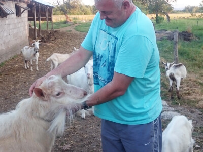 Jarac Ilijin miljenik