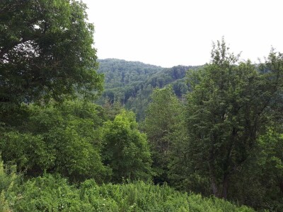 Dragiša do prodavnice pešači 24 kilometra, ali neće da napusti kućni prag