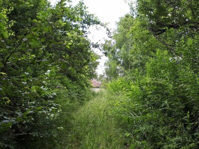 Dragiša do prodavnice pešači 24 kilometra, ali neće da napusti kućni prag