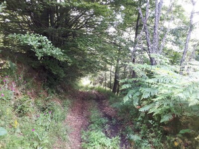 Dragiša do prodavnice pešači 24 kilometra, ali neće da napusti kućni prag