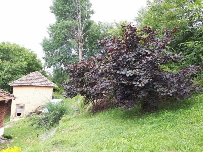 Dragiša do prodavnice pešači 24 kilometra, ali neće da napusti kućni prag