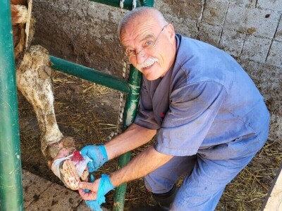 Dragutin Krišto, najstariji zaposleni veterinar u BiH