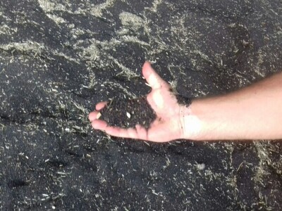 Dragutin Čižmak Dragutin Čižmak