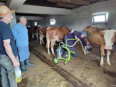 Dragutin Krišto, najstariji zaposleni veterinar u BiH