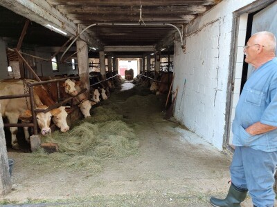 Dragutin Krišto, najstariji zaposleni veterinar u BiH