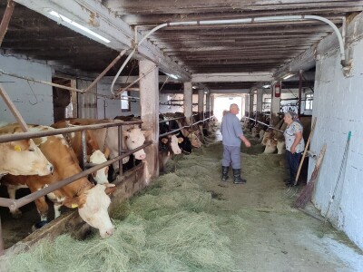 Dragutin Krišto, najstariji zaposleni veterinar u BiH