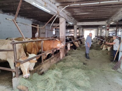 Dragutin Krišto, najstariji zaposleni veterinar u BiH