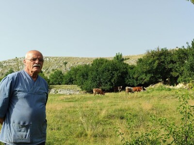 Dragutin Krišto, najstariji zaposleni veterinar u BiH