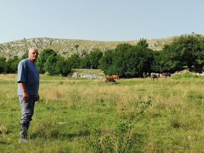 Dragutin Krišto, najstariji zaposleni veterinar u BiH