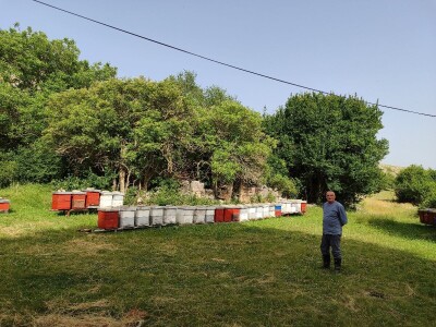 Dragutin Krišto, najstariji zaposleni veterinar u BiH