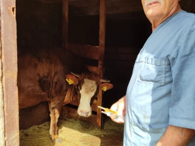 Dragutin Krišto, najstariji zaposleni veterinar u BiH