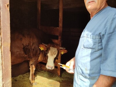 Dragutin Krišto, najstariji zaposleni veterinar u BiH