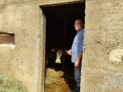 Dragutin Krišto, najstariji zaposleni veterinar u BiH