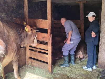 Dragutin Krišto, najstariji zaposleni veterinar u BiH