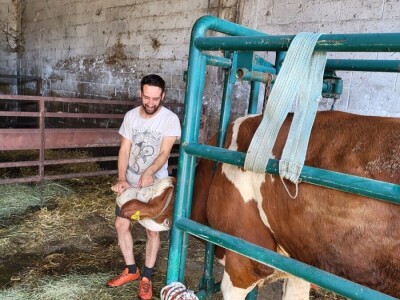 Dragutin Krišto, najstariji zaposleni veterinar u BiH