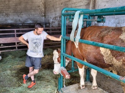 Dragutin Krišto, najstariji zaposleni veterinar u BiH