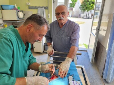 Dragutin Krišto, najstariji zaposleni veterinar u BiH