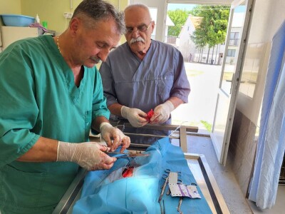 Dragutin Krišto, najstariji zaposleni veterinar u BiH