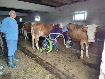 Dragutin Krišto, najstariji zaposleni veterinar u BiH