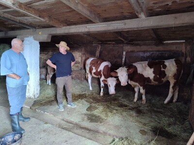 Dragutin Krišto, najstariji zaposleni veterinar u BiH