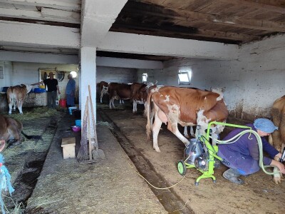 Dragutin Krišto, najstariji zaposleni veterinar u BiH