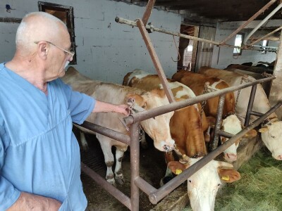 Dragutin Krišto, najstariji zaposleni veterinar u BiH