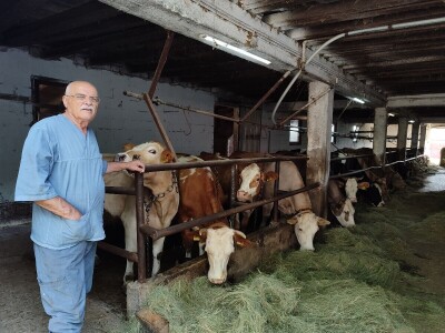 Dragutin Krišto, najstariji zaposleni veterinar u BiH