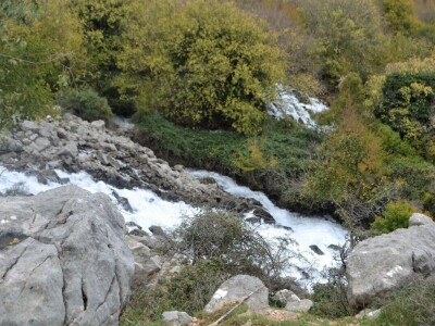 Drama na Velebitu - Ovčar Zore Gužvica među stijenama pronašao naklano janje koje je othranio na dudicu! Drama na Velebitu - Ovčar Zore Gužvica među stijenama pronašao naklano janje koje je othranio na dudicu!
