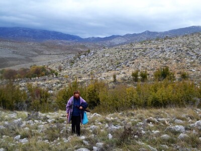 Drama na Velebitu - Ovčar Zore Gužvica među stijenama pronašao naklano janje koje je othranio na dudicu! Drama na Velebitu - Ovčar Zore Gužvica među stijenama pronašao naklano janje koje je othranio na dudicu!