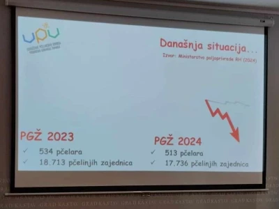 Dražen Lušić