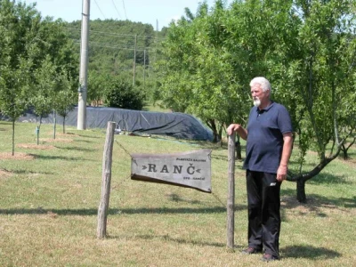 Plantaža bajama Rančić u Brnazama