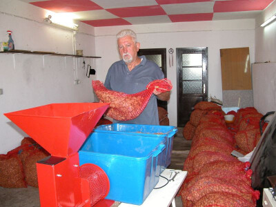 Rančić na početku obrade svojih badema i lješnjaka