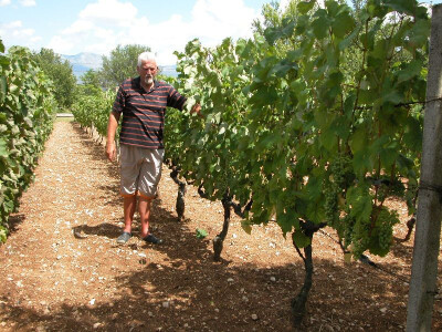 Rančić je zadovoljan i ovogodišnjim urodom grožđa, dakako i kvalitetom