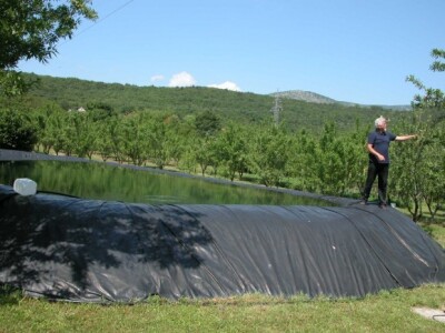 Dražen Rančić na rubu bazena usred voćnjaka Dražen Rančić na rubu bazena usred voćnjaka
