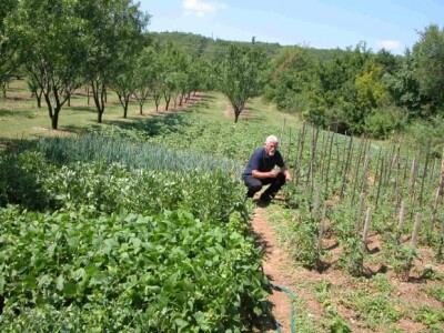 Dražen Rančić u svom eko-vrtu Dražen Rančić u svom eko-vrtu