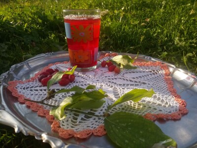 Drijen - sok i džem