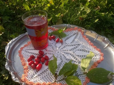 Drijen - sok i džem