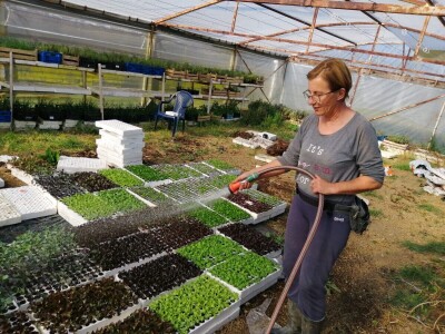 Drita Dunatov: Rad u prirodi najbolja prevencija protiv koronavirusa! Drita Dunatov: Rad u prirodi najbolja prevencija protiv koronavirusa!