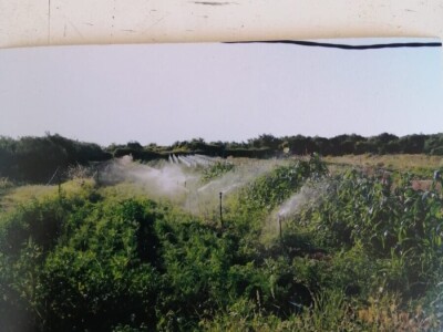 Drita Dunatov: Rad u prirodi najbolja prevencija protiv koronavirusa! Drita Dunatov: Rad u prirodi najbolja prevencija protiv koronavirusa!