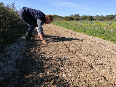 Drita Dunatov: Rad u prirodi najbolja prevencija protiv koronavirusa! Drita Dunatov: Rad u prirodi najbolja prevencija protiv koronavirusa!