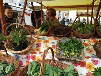 Drita Dunatov: Rad u prirodi najbolja prevencija protiv koronavirusa! Drita Dunatov: Rad u prirodi najbolja prevencija protiv koronavirusa!