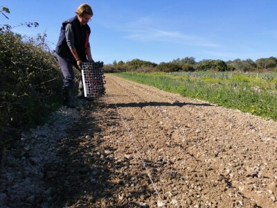 Drita Dunatov: Rad u prirodi najbolja prevencija protiv koronavirusa! Drita Dunatov: Rad u prirodi najbolja prevencija protiv koronavirusa!