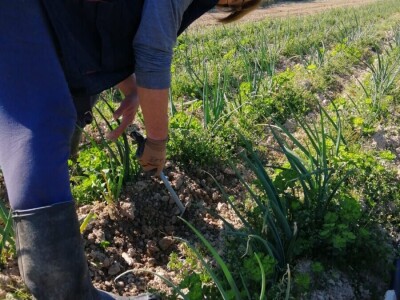 Drita Dunatov: Rad u prirodi najbolja prevencija protiv koronavirusa! Drita Dunatov: Rad u prirodi najbolja prevencija protiv koronavirusa!