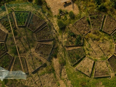 Sun and Moon Garden