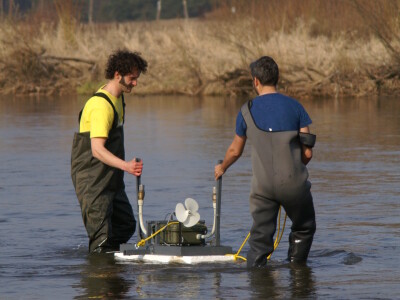 Dr.sc. David Blažević: Mogu li domaće životinje proizvoditi električnu energiju?