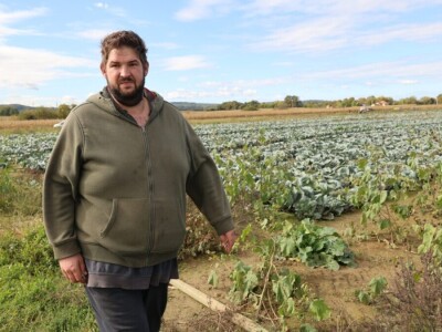 Drska krađa kod Ludbrega, s polja ukrali pet tona paprike