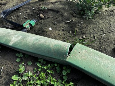 Drska krađa kod Ludbrega, s polja ukrali pet tona paprike