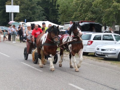 Druga "Fijakerijada" u Prnjavoru